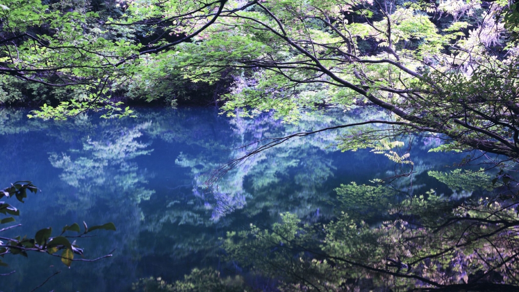 経産省が日本の魅力を伝えるためにオープンした観光促進サイト「Photo METI」の写真が超絶美しい。でもどういう選定基準なんだろう？