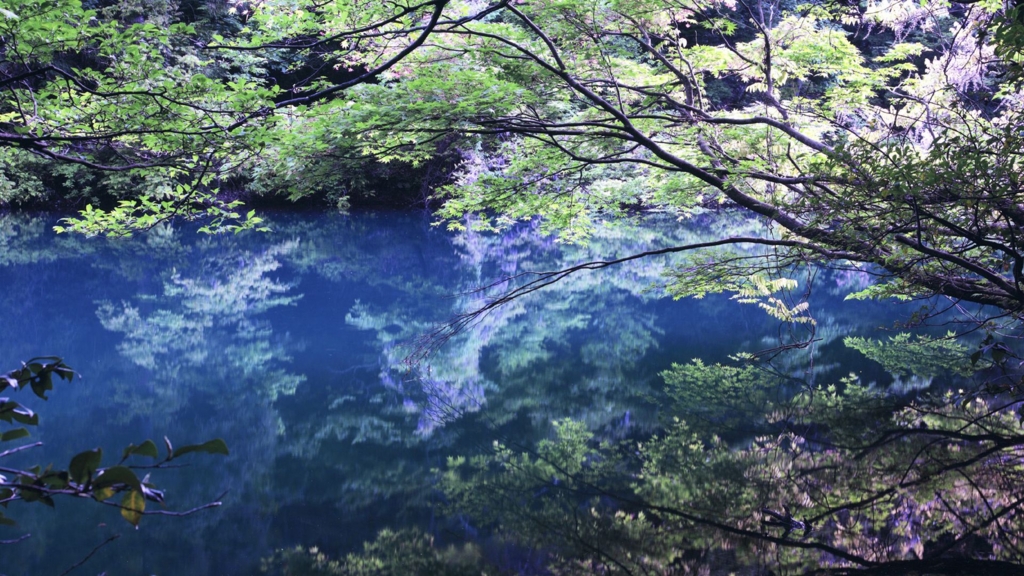 石川県蟹淵