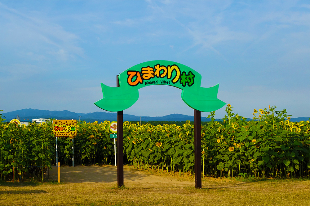 夏の思い出　〜ひまわり村に行ってきた！〜