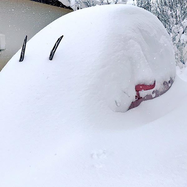 大雪の備えは大事である。常備しておくといい雪掻きグッズを紹介するね！