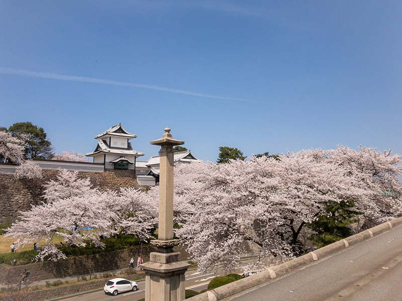兼六園と桜と金沢城