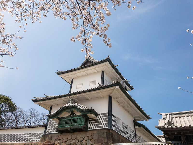 石川門と桜