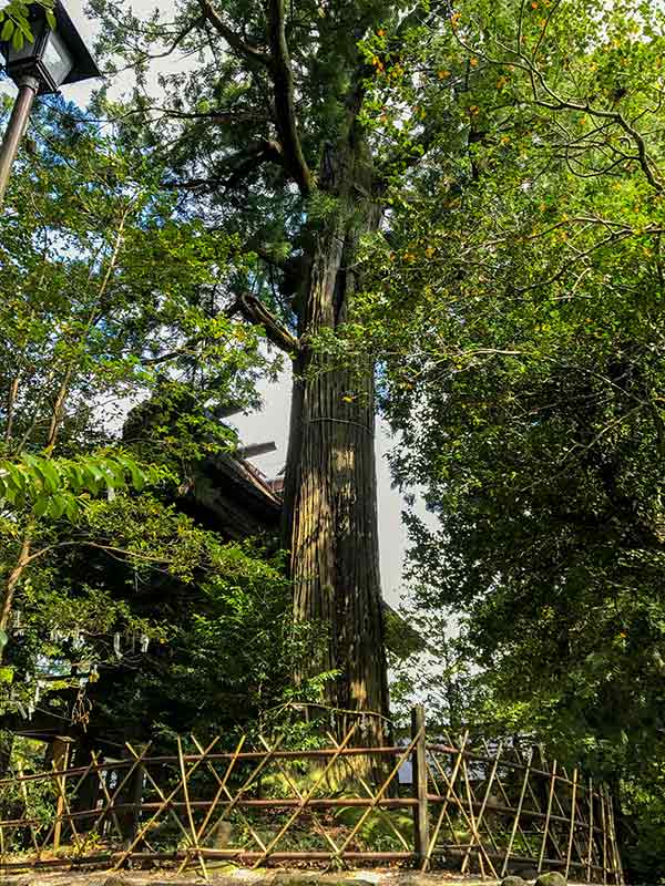 須佐神社