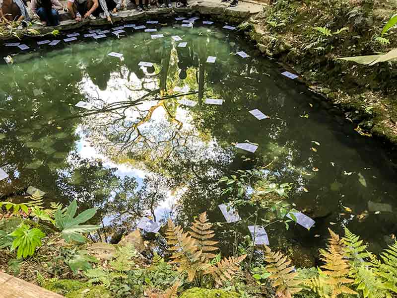 八岐大蛇伝説の地「八重垣神社」で人気の鏡の池で縁占いをしてきたよ