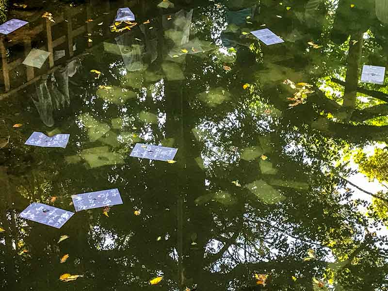 八重垣神社・鏡の池の縁占い