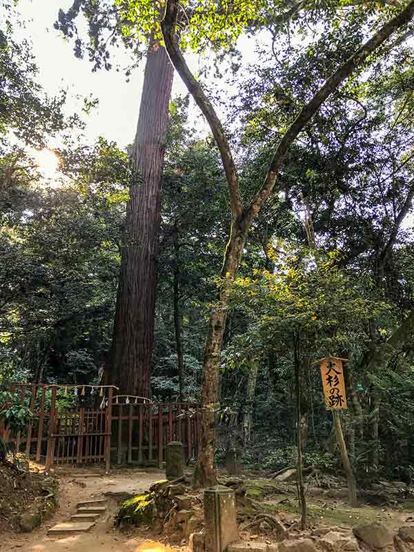 八重垣神社