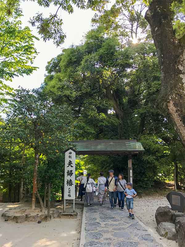 八重垣神社・夫婦椿