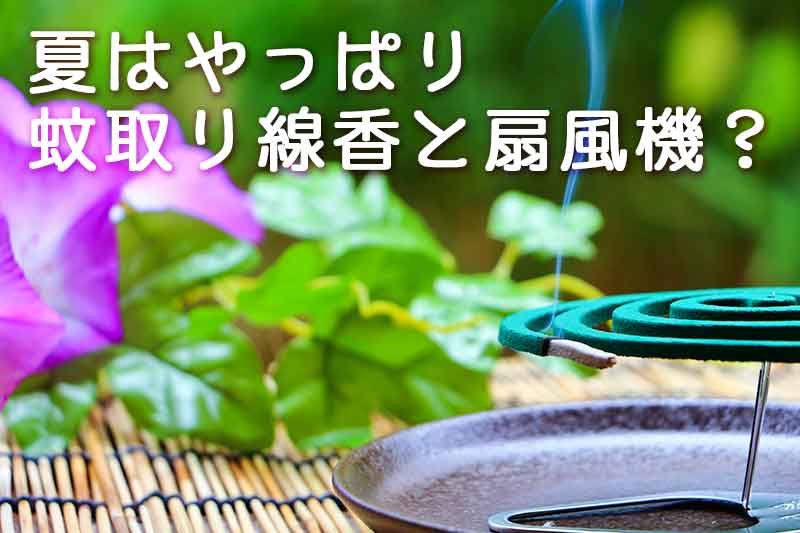 夏はやっぱり蚊取り線香と扇風機？蚊について色々まとめてみた