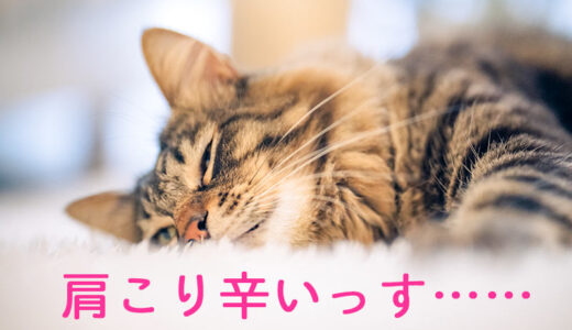 肩こりシンドイので筋トレ！と思ったけどハードル高いんでまずは自宅ヨガから始めます