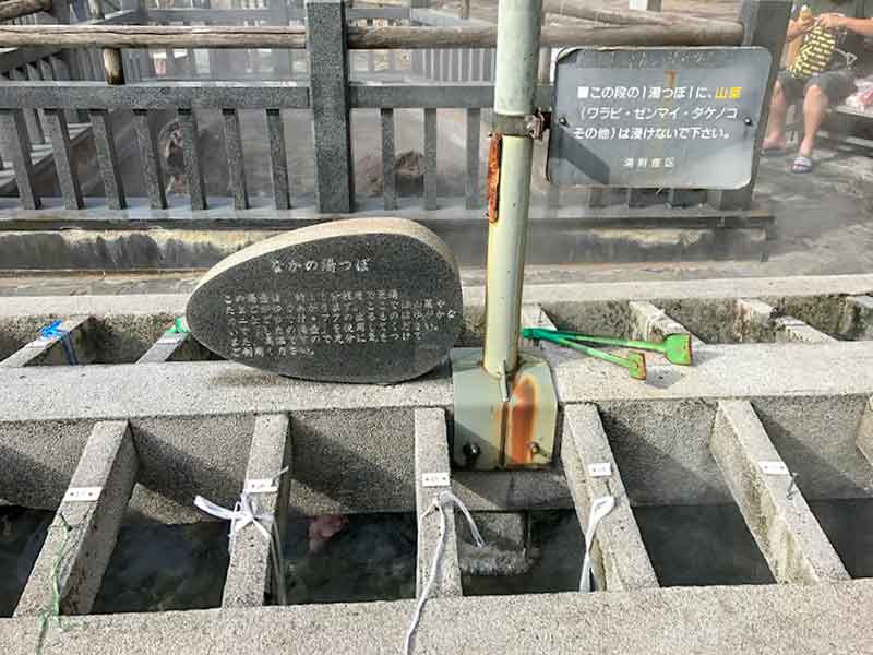 美肌の湯「夢千夜の里・湯村温泉」