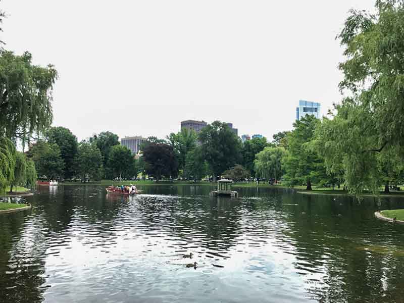 ボストン・パブリック・ガーデン（Boston Public Garden）