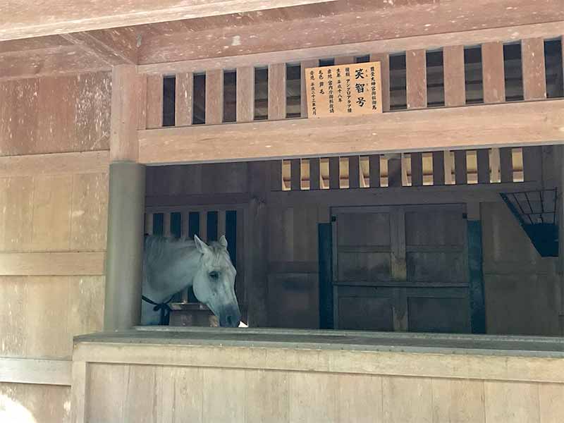 伊勢神宮外宮・豊受大神宮