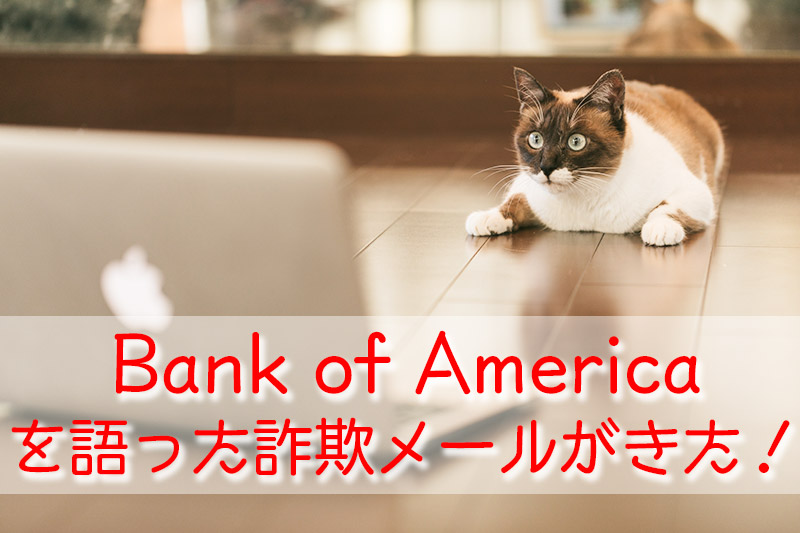 Bank Of Americaから迷惑メールが来た