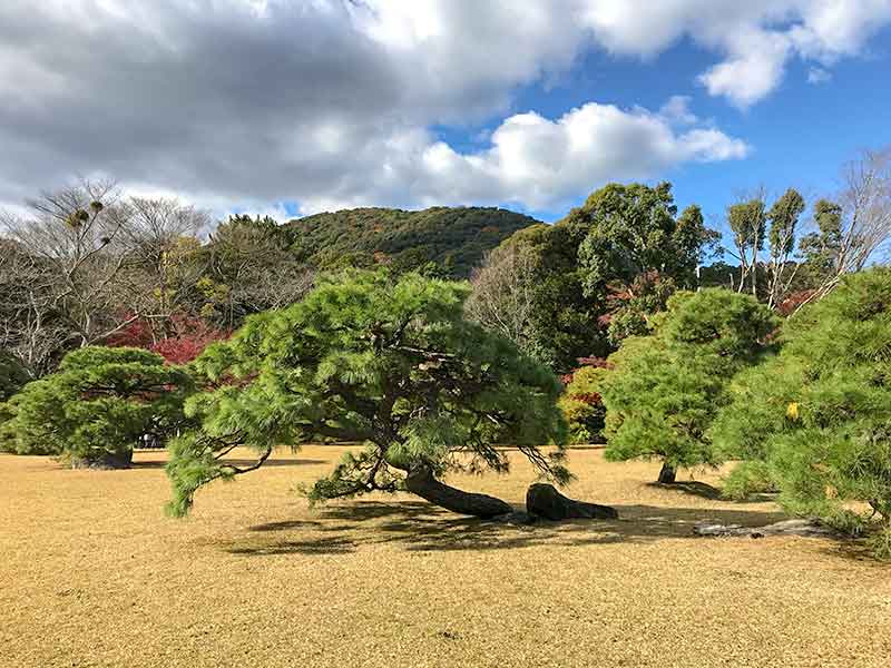 伊勢神宮内宮・皇大神宮