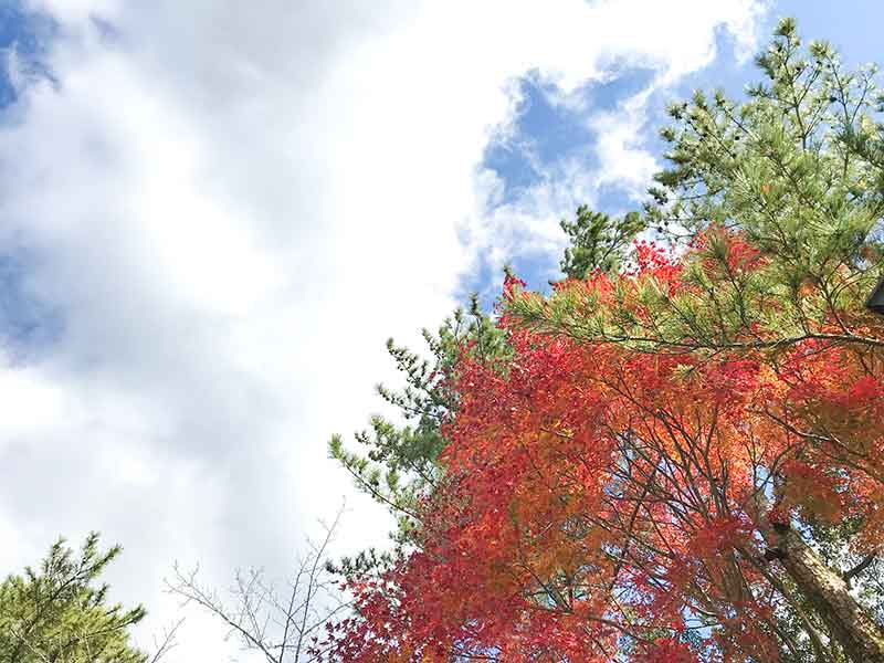 伊勢神宮内宮・皇大神宮