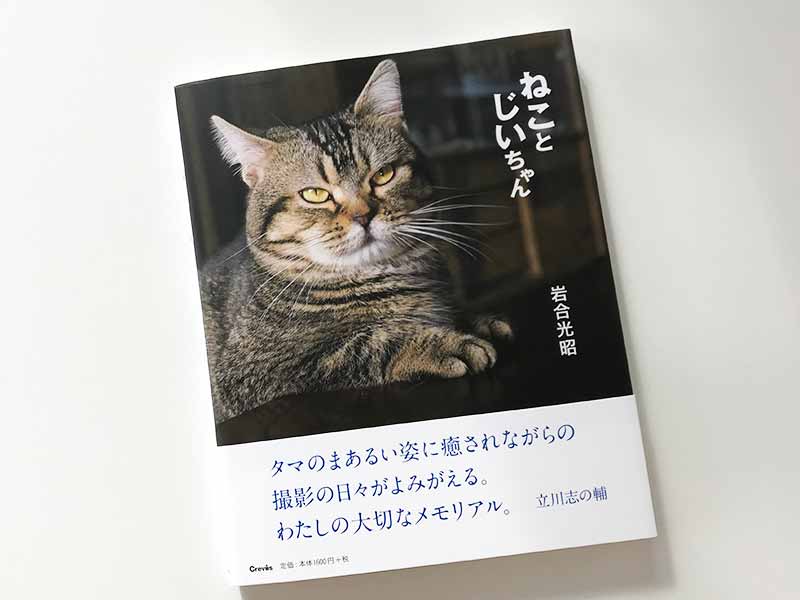 動物写真家・岩合光昭さんの写真展『ねことじいちゃん』