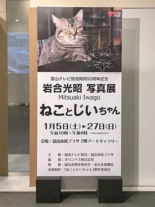 動物写真家・岩合光昭さんの写真展『ねことじいちゃん』