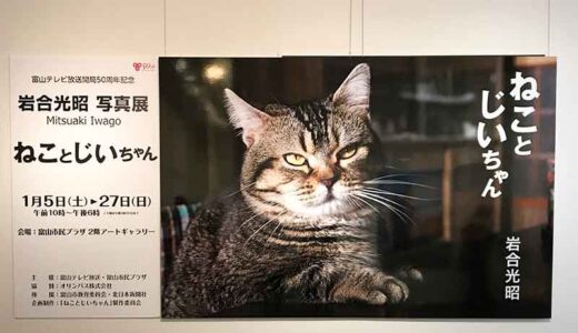 【猫】動物写真家・岩合光昭さんの写真展『ねことじいちゃん』を見に富山まで行ってきた！