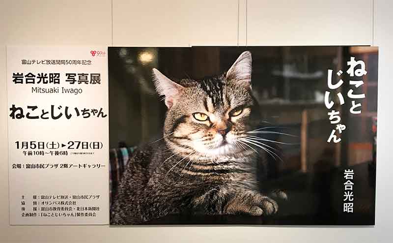 動物写真家・岩合光昭さんの写真展『ねことじいちゃん』