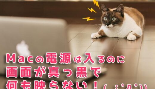 下のソーシャルリンクからフォロー