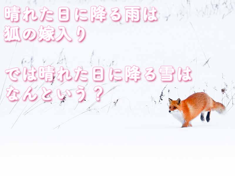 晴れた日に降る雨は狐の嫁入り。では晴れた日に降る雪はなんと言う？