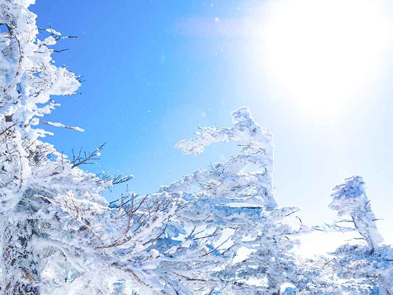 晴れた日に冬雪は「風花」