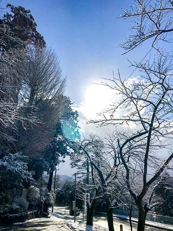 金劔宮・金運アップ日本3大神社