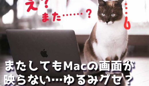 【Mac】なおったと思ったら再びMacBookの画面が映らなくなった……どうもゆるみグセ？がついてしまった模様