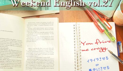 週末5分英語の勉強！「You drive me crazy（イライラさせる or 夢中にさせる）/nag/on trial/let go of/care about」
