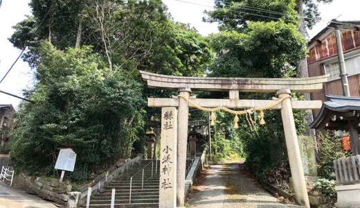 【金沢五社】逆さ狛犬がお出迎えしてくれる小坂神社