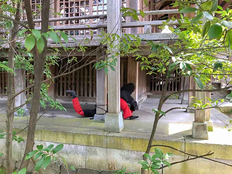 金沢5社・東茶屋街の宇多須神社