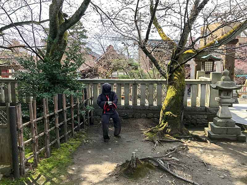 金沢5社・東茶屋街の宇多須神社