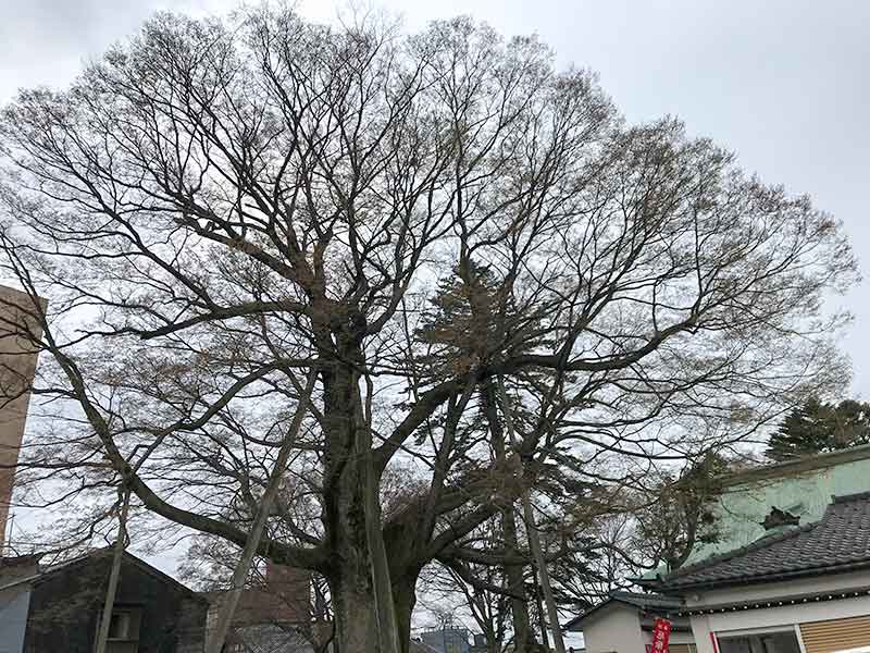 金沢5社・神明宮