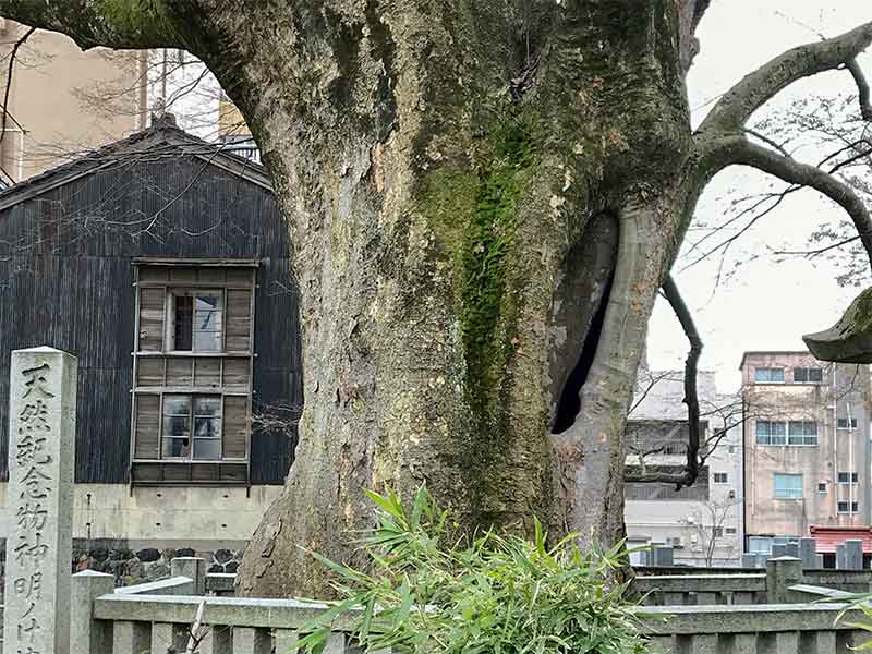 金沢5社・神明宮