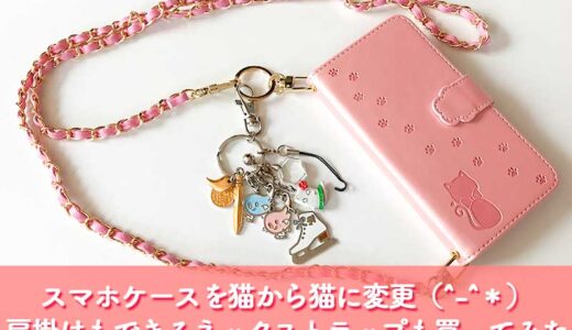 【猫グッズ】猫のアップのスマホケースから猫の型押し模様のスマホケースに変更。ついでに肩掛けもできるネックストラップも買ってみた