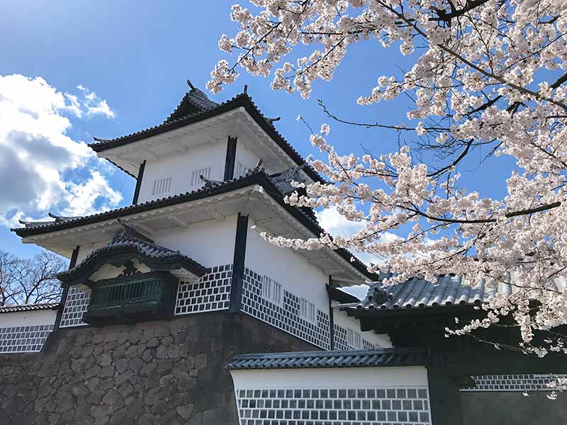 花見、桜と石川門