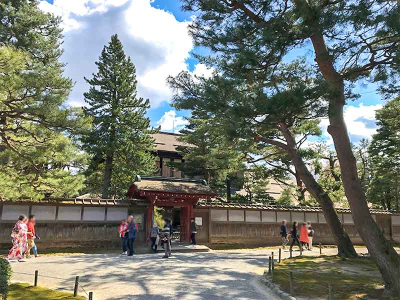 金沢・兼六園でお花見