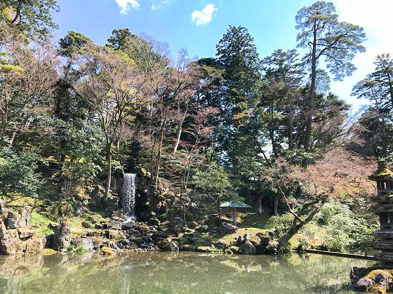 金沢・兼六園でお花見