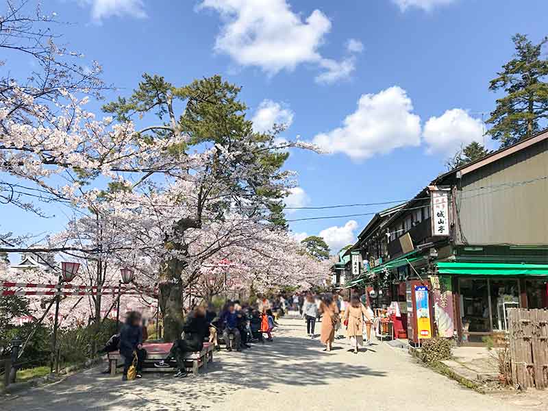 金沢・兼六園でお花見