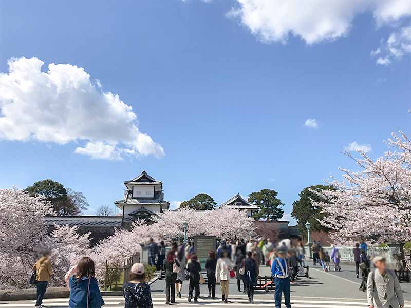 金沢・兼六園でお花見