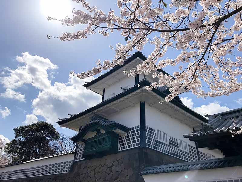 金沢・兼六園でお花見