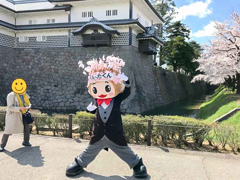 金沢・兼六園でお花見