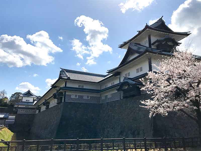 金沢・兼六園でお花見