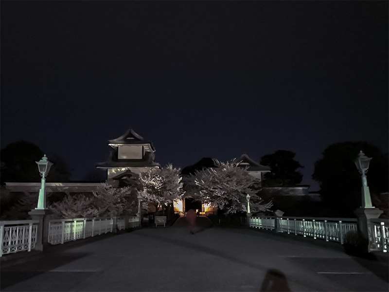 金沢・兼六園でお花見