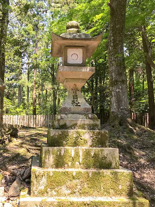 奈良公園鹿