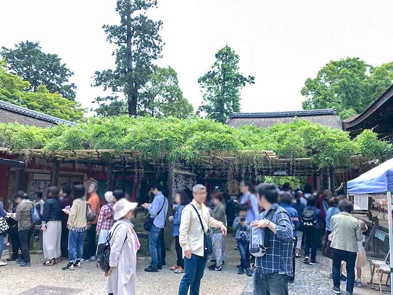 奈良・春日大社