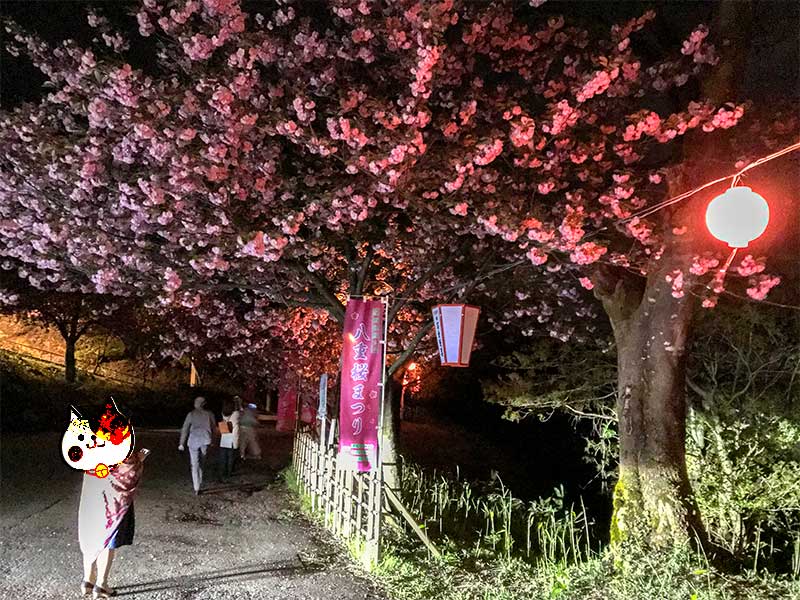 倶利伽羅不動寺・八重桜