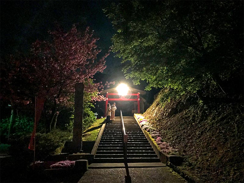 倶利伽羅不動寺・八重桜