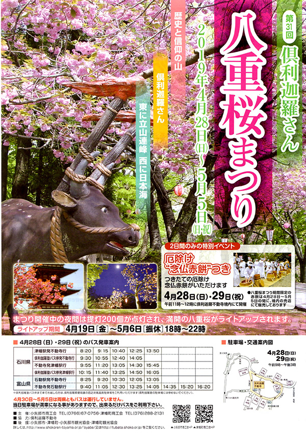 倶利伽羅八重桜まつり