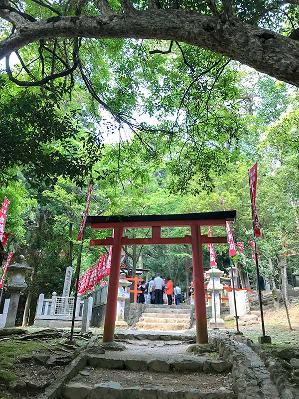 金龍神社（春日大社）金運アップ